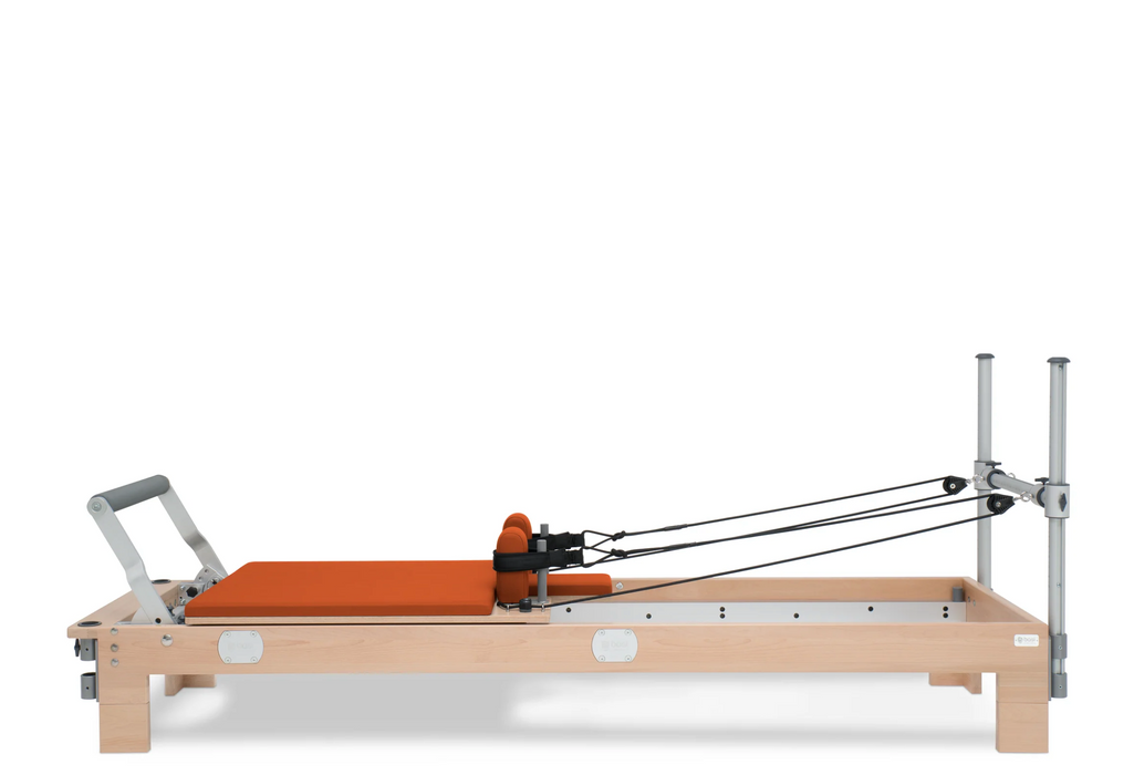 Basi System Reformer